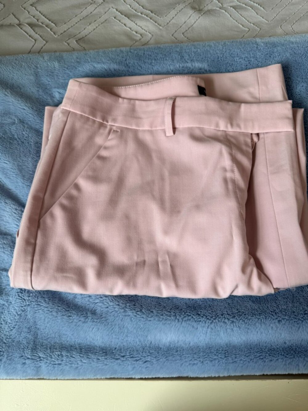 Express Editor Relaxed Trouser Midrise (light pink - 12R)